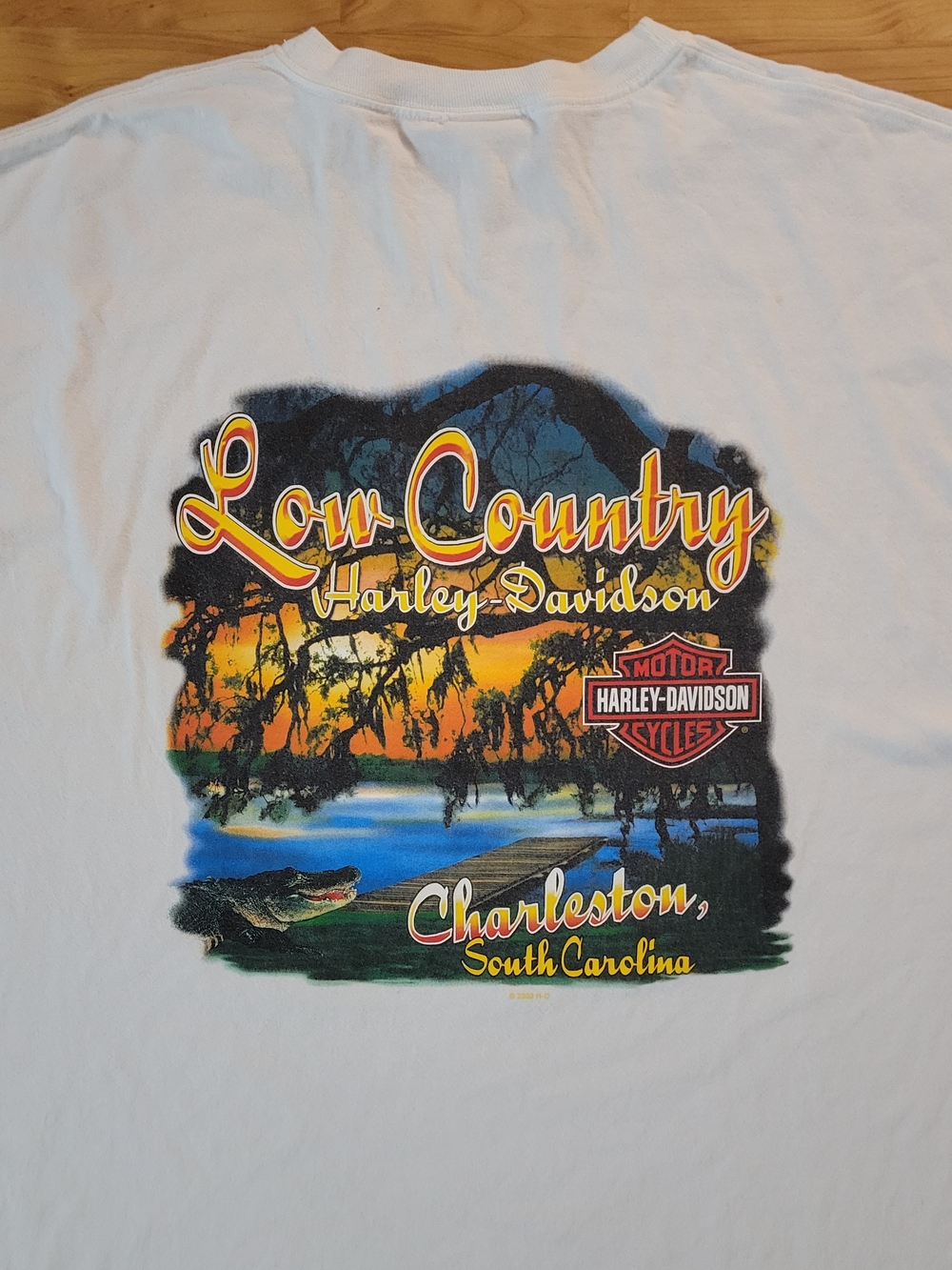 VTG Y2K Harley-Davidson 3XL Low Country Charleston Swamp Gator Graphic White Tee